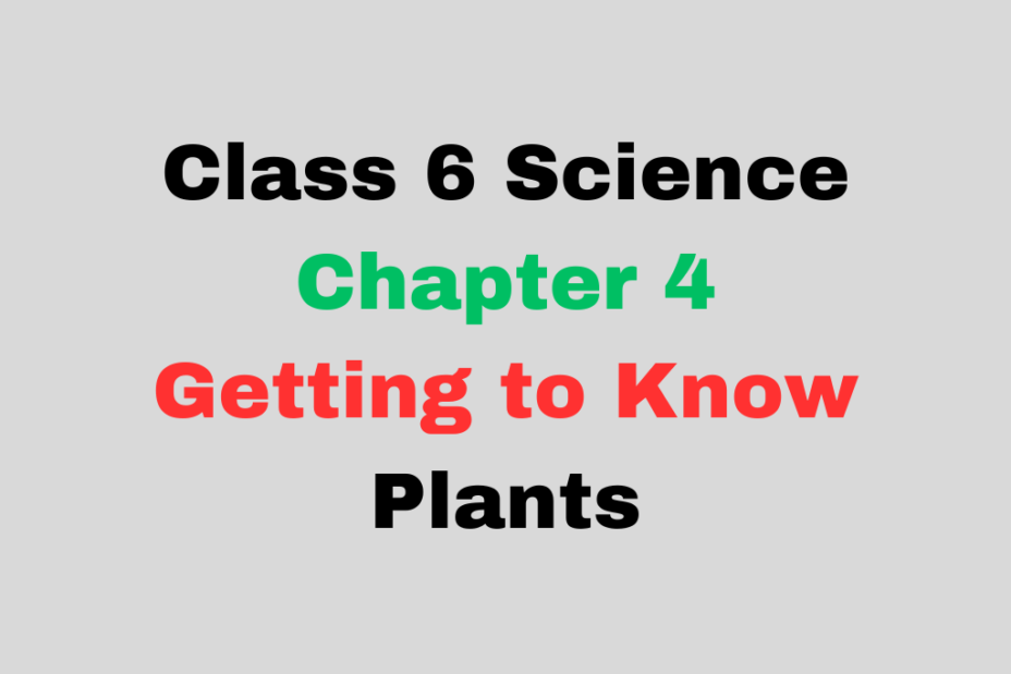 Class 6 Chapter 4 Getting to Know Plants MCQ With Solution