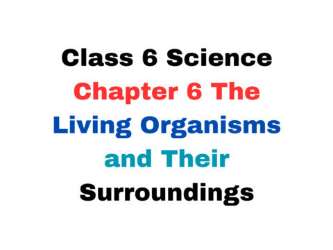 Class 6 Chapter 6 The Living Organisms and Their Surroundings