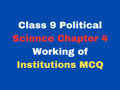 Class 9 Political Science Chapter 4 Working of Institutions MCQ