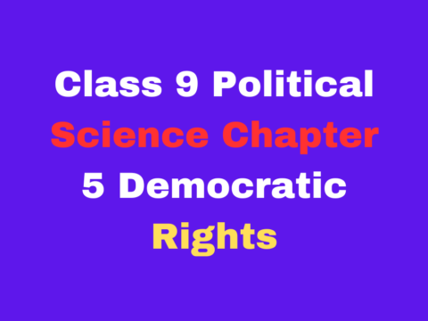 Class 9 Political Science Chapter 5 Democratic Rights MCQ