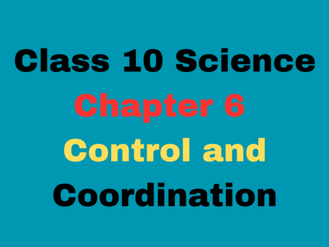 Control and Coordination Class 10 Chapter 6 MCQ Online Available