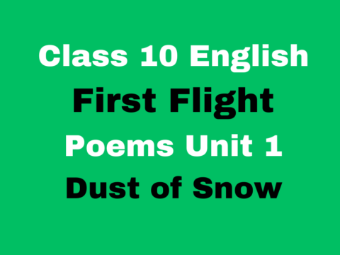 Class 10 English First Flight Poems Unit 1 Dust of Snow MCQ