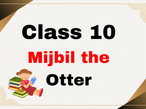 English Class 10 Mijbil the Otter Chapter 6