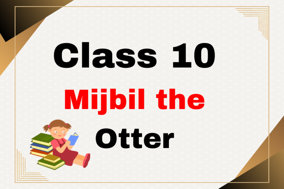 English Class 10 Mijbil the Otter Chapter 6