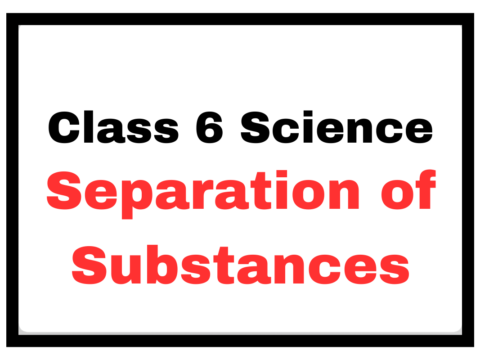 Class 6 Science Chapter 3 Separation of Substances- True/False