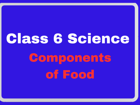 Class 6 Science Ch 1 Components of Food True/False