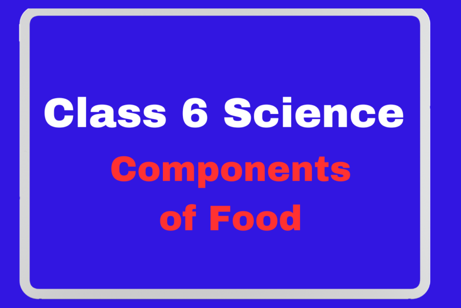 Class 6 Science Ch 1 Components of Food True/False