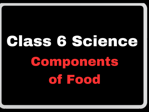 Class 6 Science Ch1 Components of Food- Fill in the Blanks