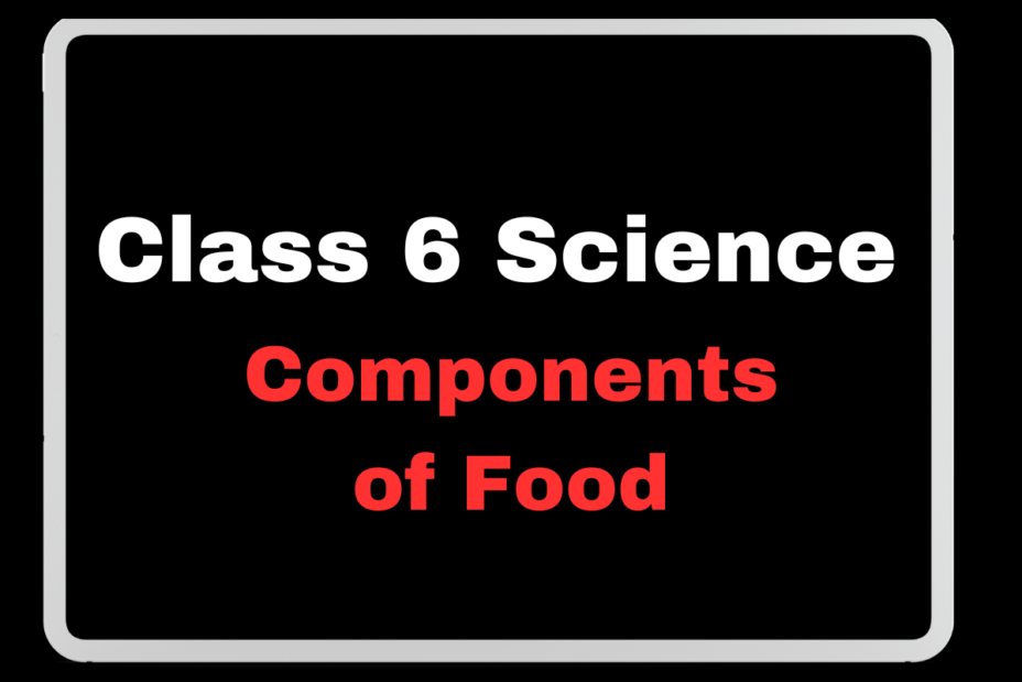 Class 6 Science Ch1 Components of Food- Fill in the Blanks