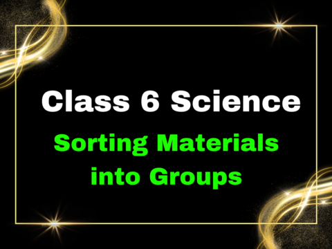 Class 6 Science Ch2 Sorting Materials into Groups- Match the following