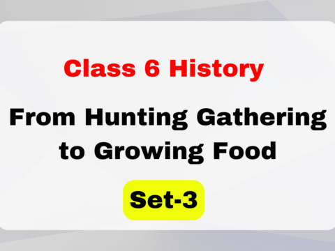 Class 6 History Chapter 2 From Hunting Gathering to Growing Food MCQs Set-3