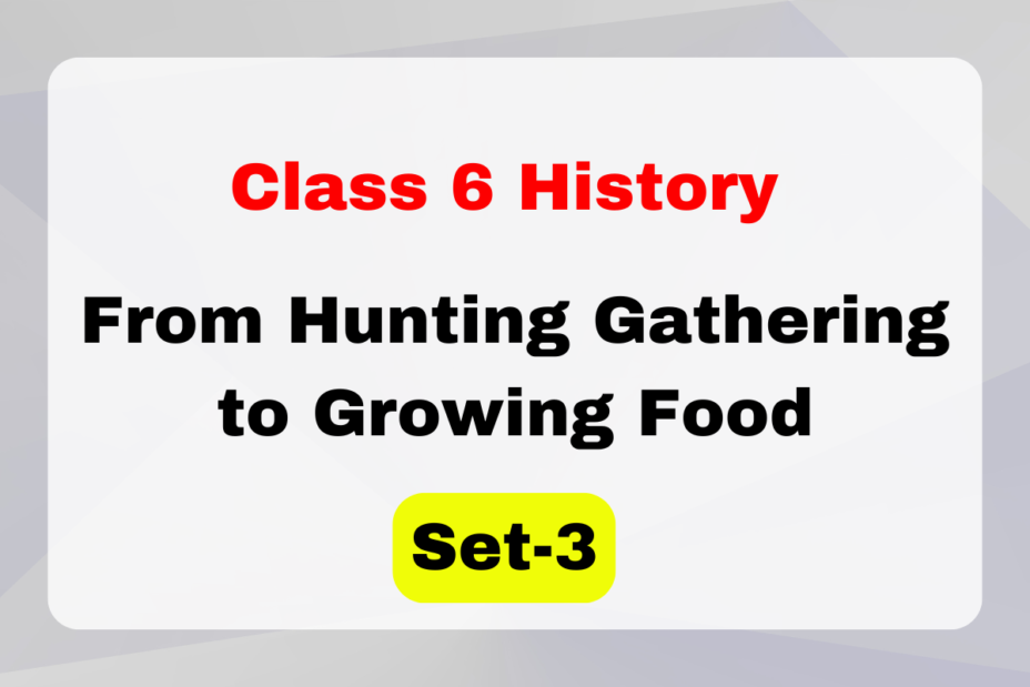 Class 6 History Chapter 2 From Hunting Gathering to Growing Food MCQs Set-3