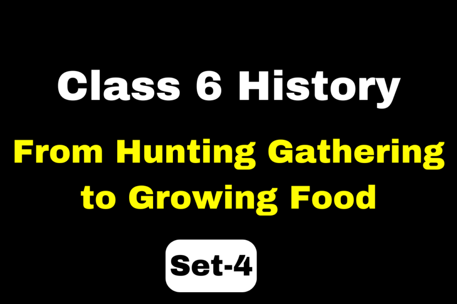 Class 6 History Chapter 2 From Hunting Gathering to Growing Food MCQs Set-4