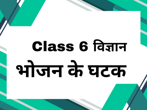 कक्षा 6 विज्ञान पाठ 1 भोजन के घटक- रिक्त स्थान को भरें