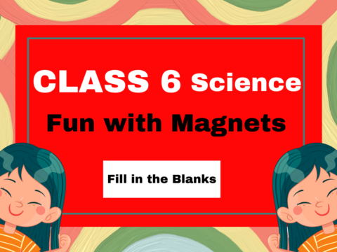 Class 6 Chapter 10 Fun with Magnets- Fill in Blanks