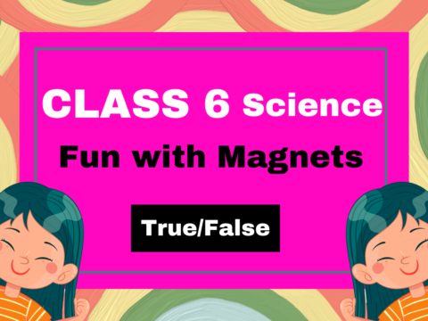 Class 6 Science Chapter 10 Fun with Magnets- True/False