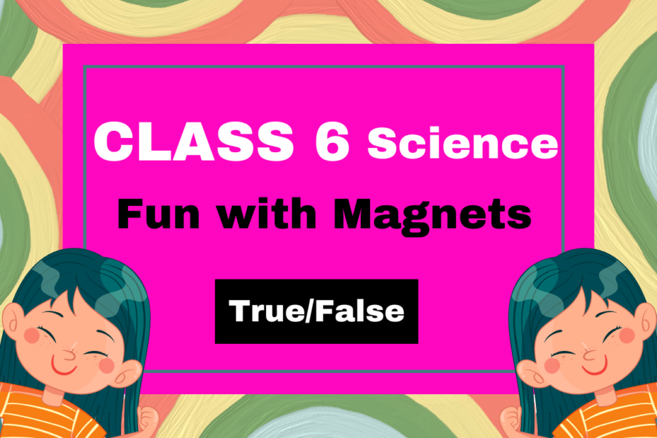 Class 6 Science Chapter 10 Fun with Magnets- True/False