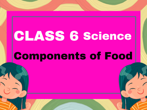 Class 6 Science Chapter 1 Components of Food MCQs