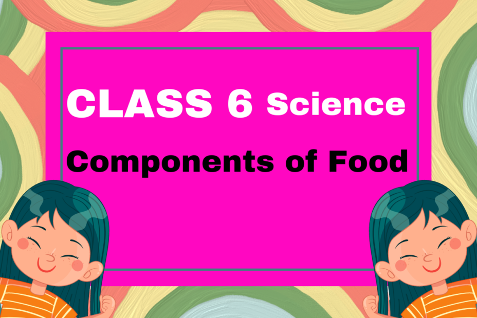 Class 6 Science Chapter 1 Components of Food MCQs