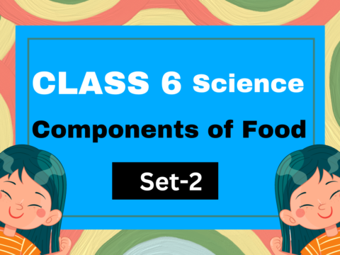 Class 6 Science Chapter 1 Components of Food MCQs Set-2