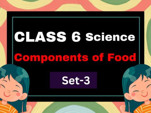 Class 6 Science Chapter 1 Components of Food MCQs Set-3