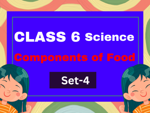 Class 6 Science Chapter 1 Components of Food MCQs Test-4