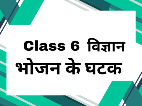 कक्षा 6 विज्ञान अध्याय 1 भोजन के घटक एमसीक्यू