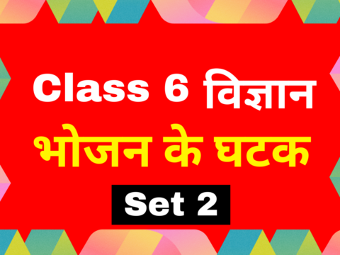 कक्षा 6 विज्ञान अध्याय 1 भोजन के घटक एमसीक्यू टेस्ट-2