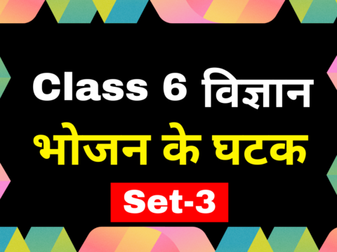 कक्षा 6 विज्ञान अध्याय 1 भोजन के घटक एमसीक्यू टेस्ट-3