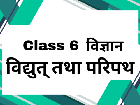 कक्षा 6 विज्ञान अध्याय 9 विद्युत् तथा परिपथ एमसीक्यू