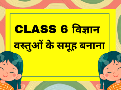 कक्षा 6 विज्ञान पाठ 2 वस्तुओं के समूह बनाना- True/False