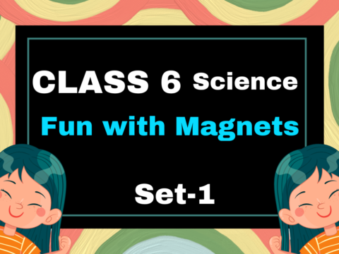 Class 6 Science Chapter 10 Fun with Magnets MCQs Test-1