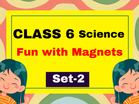 Class 6 Science Chapter 10 Fun with Magnets MCQs Test-2