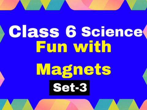 Class 6 Science Chapter 10 Fun with Magnets MCQs Test-3