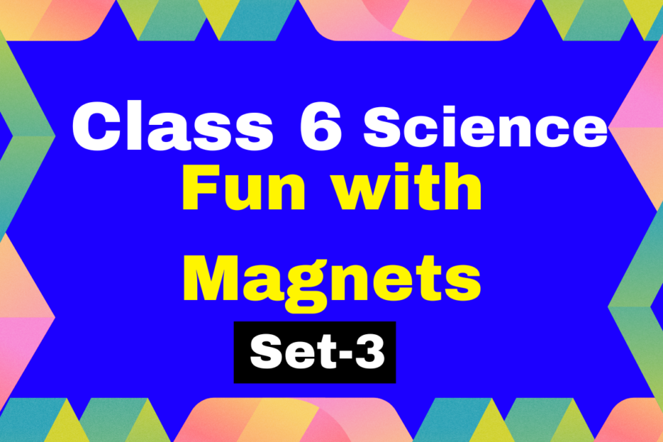 Class 6 Science Chapter 10 Fun with Magnets MCQs Test-3