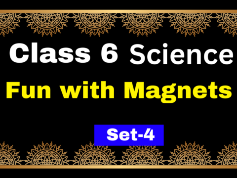 Class 6 Science Chapter 10 Fun with Magnets MCQs Test-4