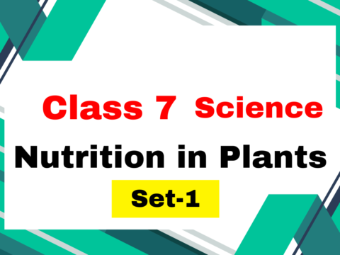 Class 7 Science Chapter 1 Nutrition in Plants MCQs Test-1