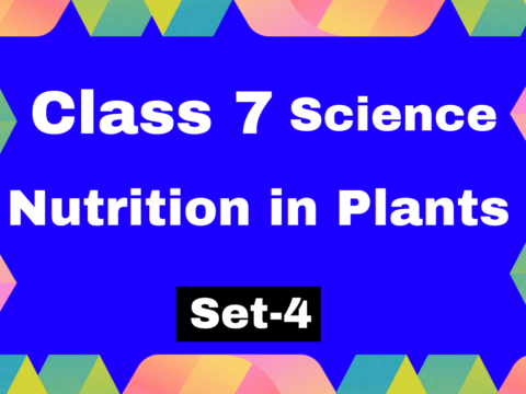 Class 7 Science Lesson 1 Nutrition in Plants MCQs Test-4