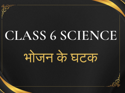 Class 6 Science पाठ 1 भोजन के घटक- सही/गलत