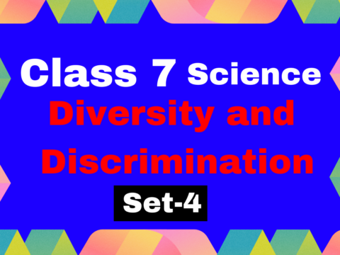 Class 6 Civics Chapter 2 Diversity and Discrimination MCQs Set-4