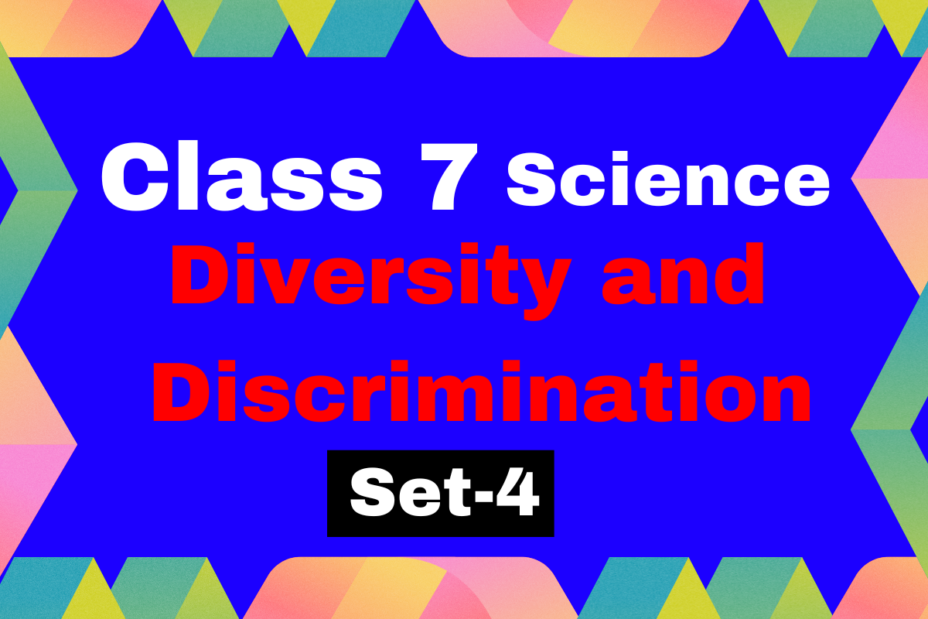 Class 6 Civics Chapter 2 Diversity and Discrimination MCQs Set-4