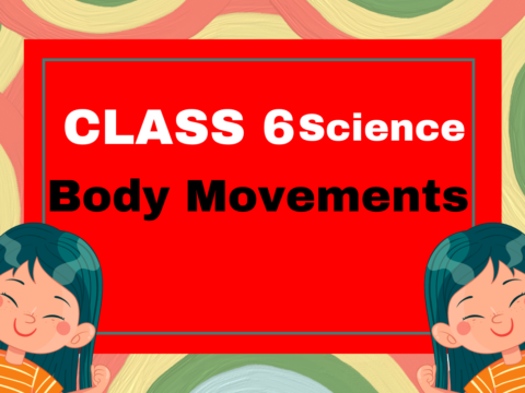 Class 6 Science Chapter 5 Body Movements Fill in the blanks