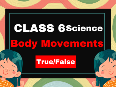 Class 6 Science Chapter 5 Body Movements- True/False