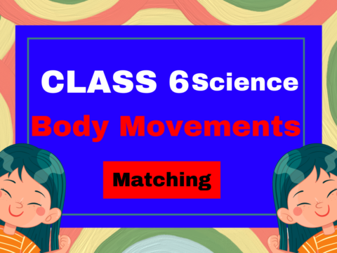 Class 6 Science Chapter 5 Body Movements- Matching