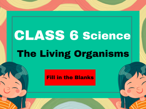 Class 6 Science Chapter 6 The Living Organisms- Fill in the Blanks