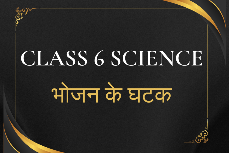 Class 6 Science पाठ 1 भोजन के घटक- सही/गलत