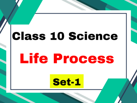 Class 10 Science Chapter 5 Life process MCQs Set-1