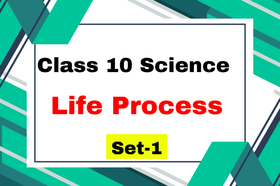 Class 10 Science Chapter 5 Life process MCQs Set-1