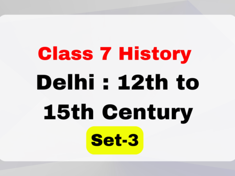 Class 7 History Chapter 3 Delhi : 12th to 15th Century MCQs