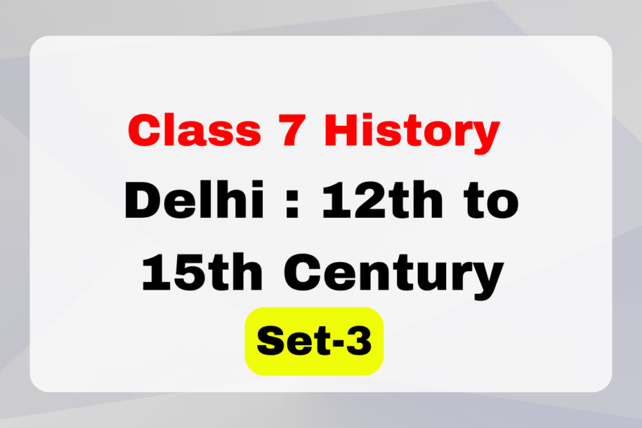 Class 7 History Chapter 3 Delhi : 12th to 15th Century MCQs